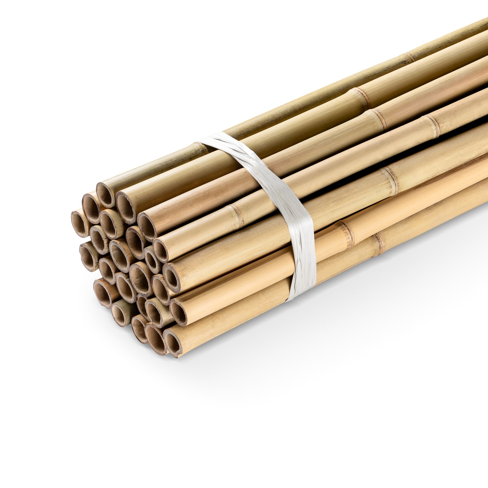Bundle of bamboo poles